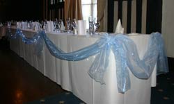 baby blue swags with lights 250x150
